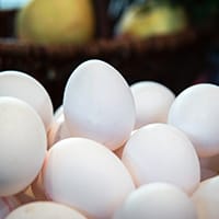 eggs-collection