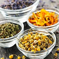 herbs-in-glass-bowls