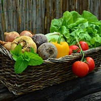 vegetable-basket