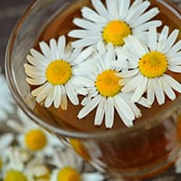 chamomile-tea
