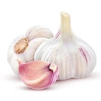 garlic