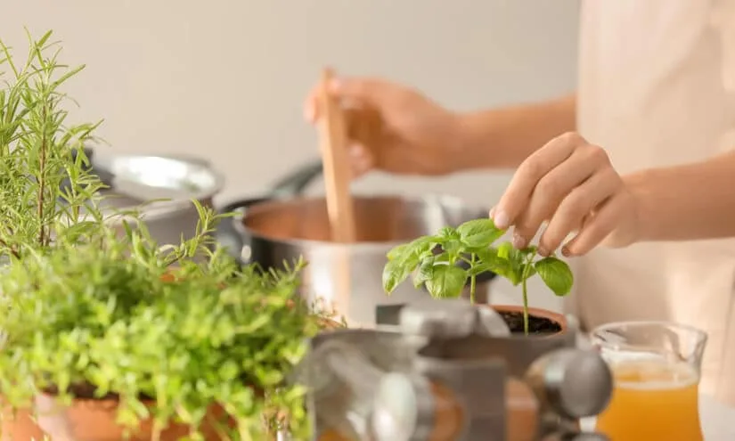 Herbs for Everyday Living Online