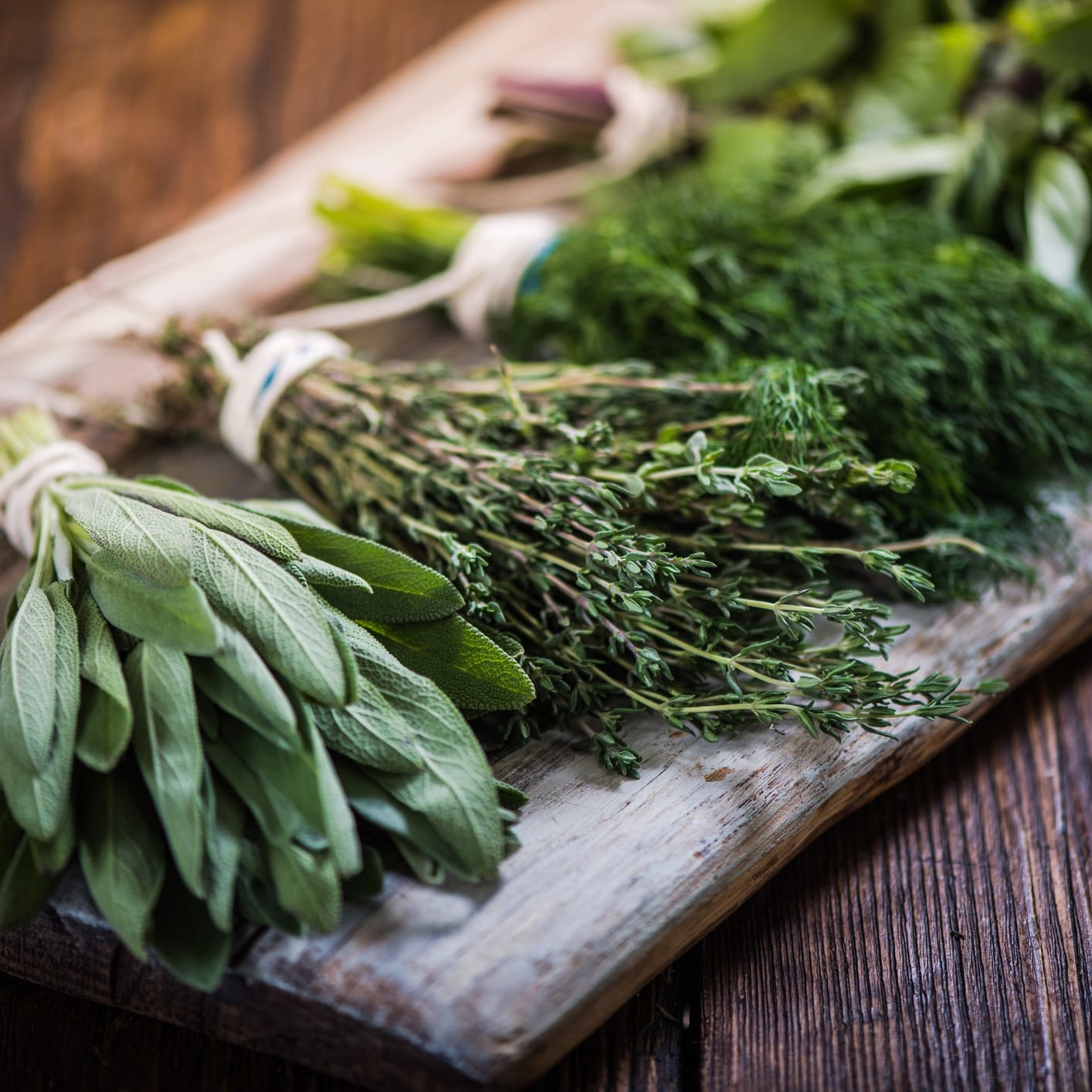 Basil,sage,dill,and thyme herbs