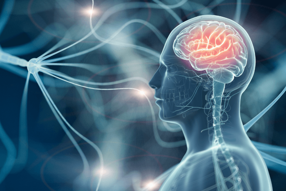 Can Alzheimer’s Be Prevented?